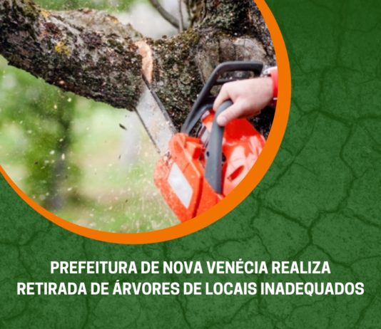 Prefeitura de Nova Venécia realiza retirada de árvores de locais inadequados