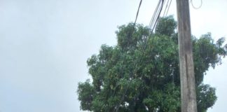 Interrupção do trânsito no Bairro Filomena