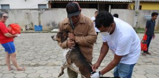 Vacinação animal teve grande adesão da população Veneciana