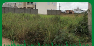 Prefeitura de Nova Venécia intensificará a fiscalização de terrenos baldios no município