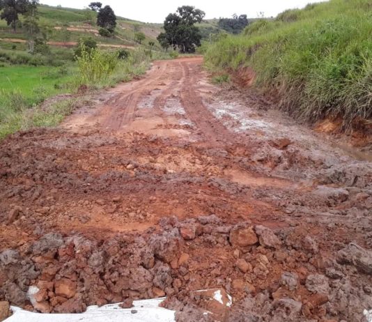 Prefeitura de Nova Venécia realiza melhorias em estradas de diversas localidades
