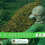 BANNER PRICIPAL00