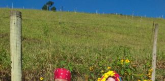Personagens da literatura levam diversão a estudantes da rede municipal no Dia Nacional do Livro Infantil