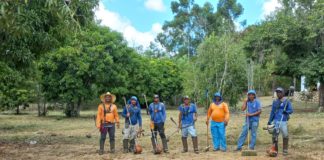 Secretaria de Obras realiza serviço de limpeza no município