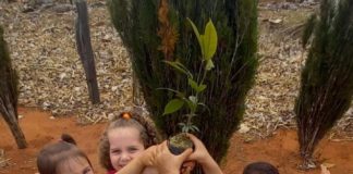 Fazenda em Nova Venécia recebe alunos da rede municipal para plantio de árvores