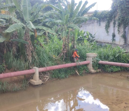 Secretaria de Serviços continua realizando limpeza no municipio