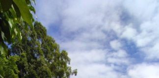 Secretaria de Agricultura realiza projeto de mentoria em Piscicultura com assistência técnica em parceria com agricultores em Nova Venécia