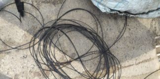 Rompimento de fibra óptica paralisa atendimentos na Central de Identidade de Nova Venécia