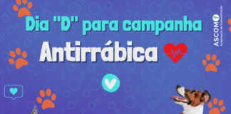 Prefeitura de Nova Venécia realizará Dia D ação para combater a Raiva Animal (cães e gatos)