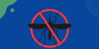 Procon alerta para variação nos preços de testes de dengue e repelentes em  Nova Venécia