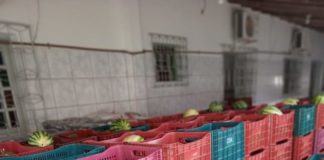 Prefeitura de Nova Venécia lança edital para seleção de agricultores familiares para o “Programa Compra Direta de Alimentos”
