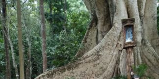 Escola em Tempo Integral do campo realiza viagem pedagógica