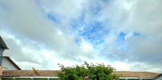 Nova Venécia é 1º lugar no estado em alfabetização entre os municípios mais populosos