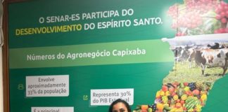 Professora da rede municipal de Nova Venécia tem trabalho selecionado entre os 12 melhores do Estado