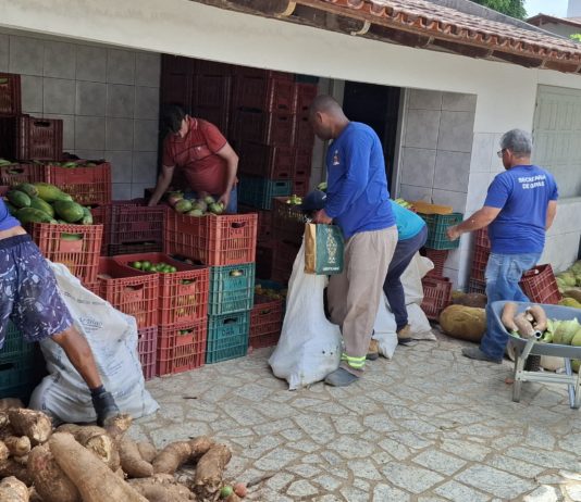 Prefeitura de Nova Venécia entrega alimentos da agricultura familiar para 300 famílias