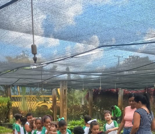 Alunos das escolas de Nova Venécia visitam viveiro e aprendem sobre preservação ambiental