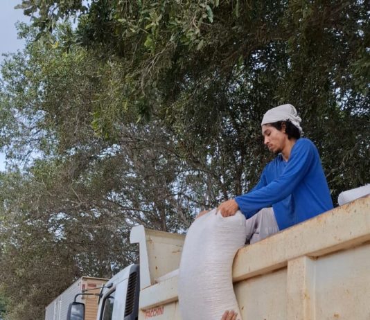 Prefeitura de Nova Venécia entrega 36 toneladas de milho com preço reduzido a produtores rurais