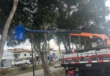 Secretaria de Obras e Meio Ambiente realiza poda de árvores na Praça Vila Olímpica
