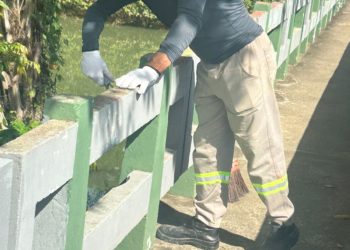 Prefeitura inicia revitalização da Ponte Afonso Cremasco em Nova Venécia