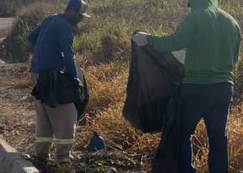 Secretaria de Obras retira 5 toneladas de lixo das laterais da Rodovia do Café