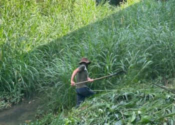 Prefeitura de Nova Venécia inicia limpeza do Córrego da Serra