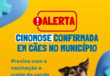 Secretaria de Meio Ambiente alerta para casos confirmados de Cinomose em cães no município