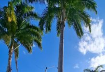 Prefeitura de Nova Venécia revitaliza praças em frente à Igreja Aparecida e na Rua Sergipe