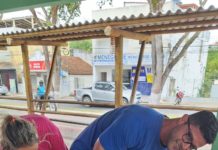 Nova Venécia supera metas na Campanha de Vacinação Antirrábica