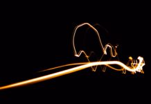 Nova Venécia recebe exposição fotográfica de Yanka Saturnino e Carlos Gaúcho entre os dias 6 e 9 de novembro