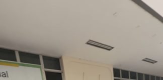 Prefeitura de Nova Venécia recebe veículo e kit para fortalecer políticas públicas para mulheres