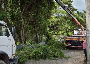 Secretaria de Meio Ambiente e Obras realizam poda de manutenção preventiva no bairro Beira Rio