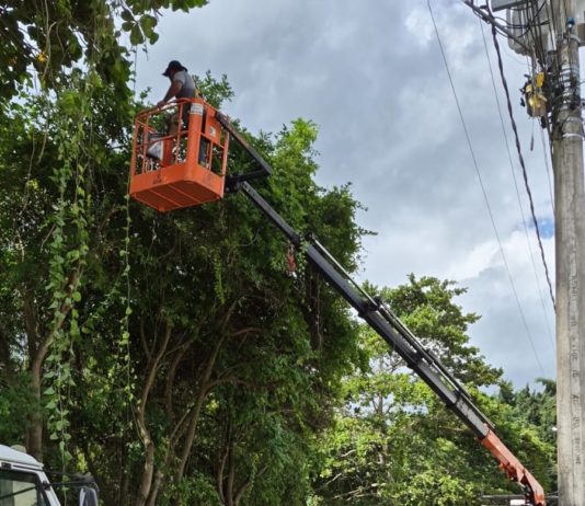 Secretaria de Meio Ambiente e Obras realizam poda de manutenção preventiva no bairro Beira Rio