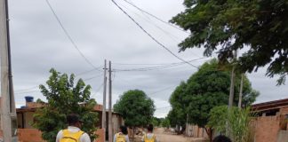 Prefeitura de Nova Venécia intensifica campanha de combate à dengue a partir de janeiro