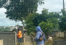 Secretaria de Obras realiza limpeza no Cemitério São Marcos
