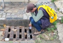 Mutirão contra a dengue elimina 85 focos do mosquito no bairro Iolanda