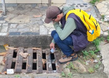 Mutirão contra a dengue elimina 85 focos do mosquito no bairro Iolanda