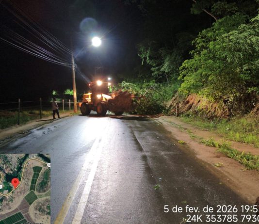 Defesa Civil e Secretaria de Obras removem árvore caída após fortes chuvas em Nova Venécia