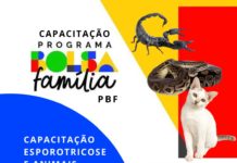 Agentes de saúde passarão por capacitação sobre esporotricose e animais peçonhentos em Nova Venécia