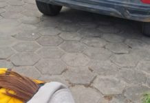 Ação de combate à dengue elimina 47 focos do mosquito no bairro Rubia