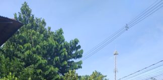 Mutirão contra a dengue elimina 156 focos no bairro Aeroporto em Nova Venécia