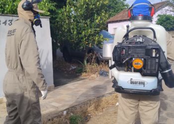 Mutirão contra a dengue elimina 156 focos no bairro Aeroporto em Nova Venécia