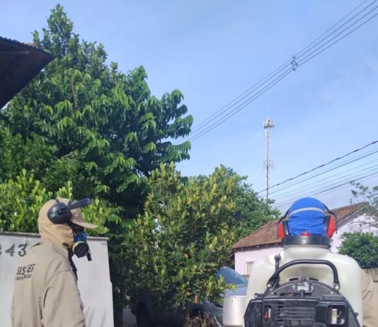 Mutirão contra a dengue elimina 156 focos no bairro Aeroporto em Nova Venécia