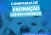 Nova Venécia terá campanha de vacinação contra a Cinomose para cães no dia 9 de maio