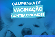 Nova Venécia terá campanha de vacinação contra a Cinomose para cães no dia 9 de maio