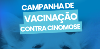 Nova Venécia terá campanha de vacinação contra a Cinomose para cães no dia 9 de maio
