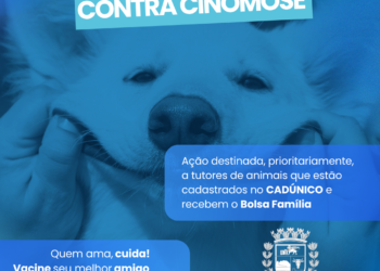 Nova Venécia terá campanha de vacinação contra a Cinomose para cães no dia 9 de maio