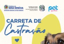 Nova Venécia realiza ação gratuita de castração e vacinação de cães e gatos entre os dias 25 e 27 de maio