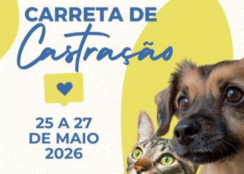 Nova Venécia realiza ação gratuita de castração e vacinação de cães e gatos entre os dias 25 e 27 de maio