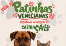 Prefeitura de Nova Venécia lança Programa Patinhas Venecianas para castração de cães e gatos