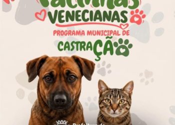 Prefeitura de Nova Venécia lança Programa Patinhas Venecianas para castração de cães e gatos